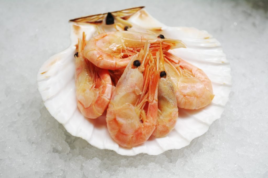 Prawns - Greenland, shell-on (500g, frozen) | Pure Seafood