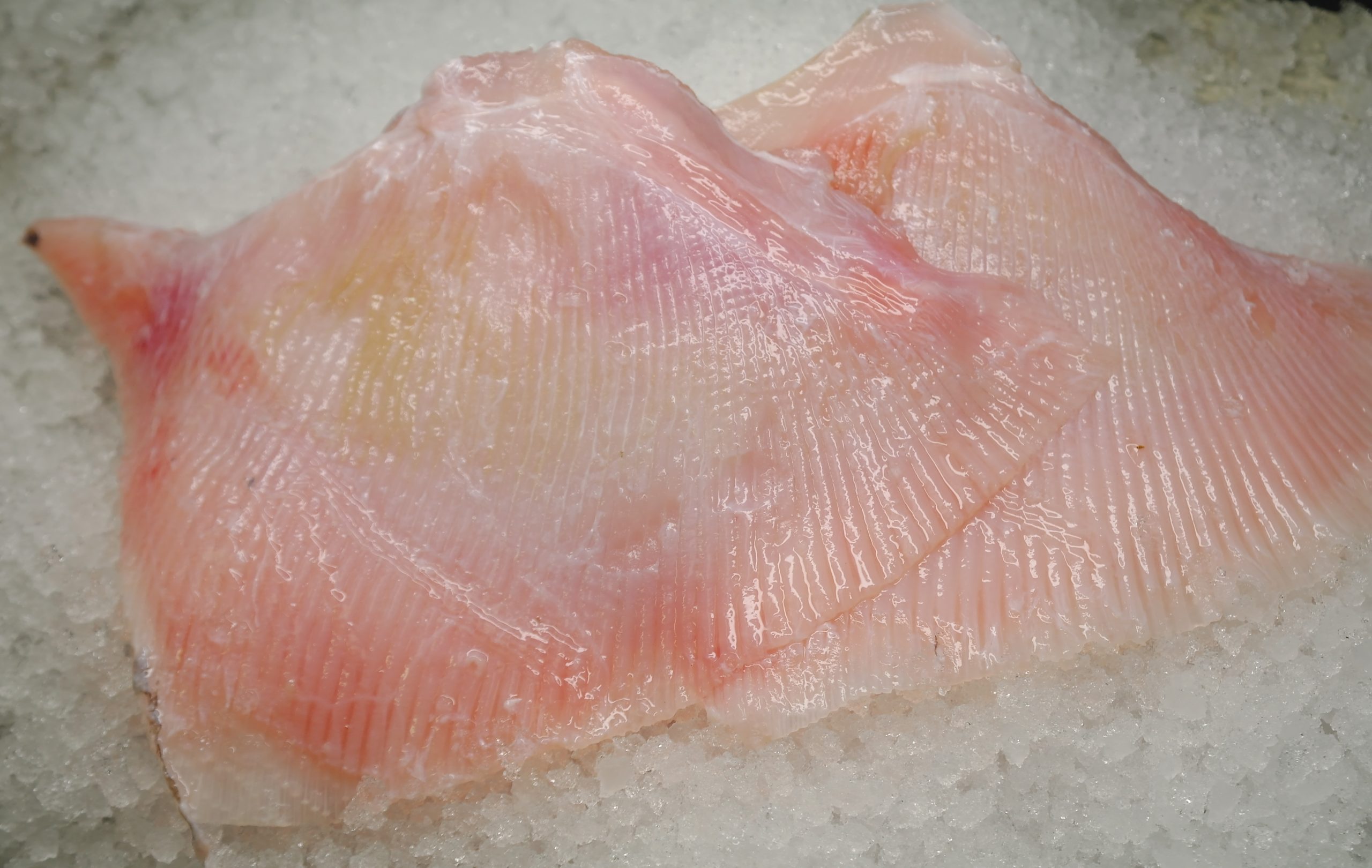 Skate Wing 400 500g Frozen Pure Seafood